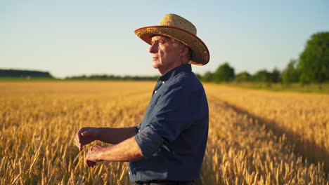 elderly farmer in straw hat outdoors. male agronomist stands inside the wheat field in the golden sunlight. agriculturist inspects a field.