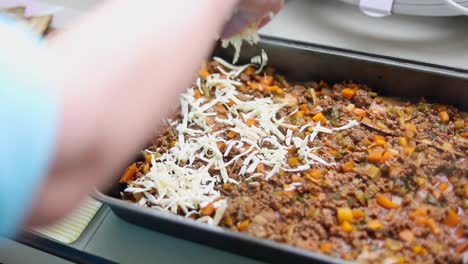 cooking delicious ground beef with vegetables - close up