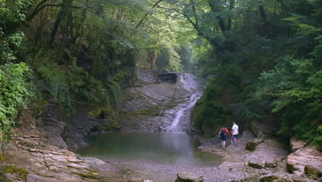 forest waterfall with hikers