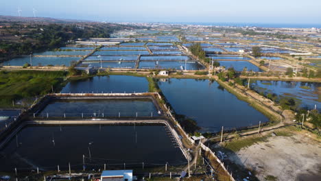 Aerial-flyover-Shrimp-Farm-Pattern-Plantation-in-Vietnam-during-Summer---Shrimp-Salt-Production-in-Asia