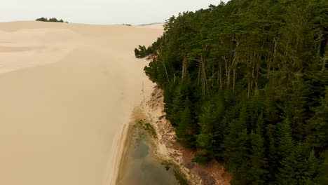 Drone-shot-of-the-forest-connecting-with-the-sand-dunes-in-Florence,-Oregon-dunes-near-Jessie-M