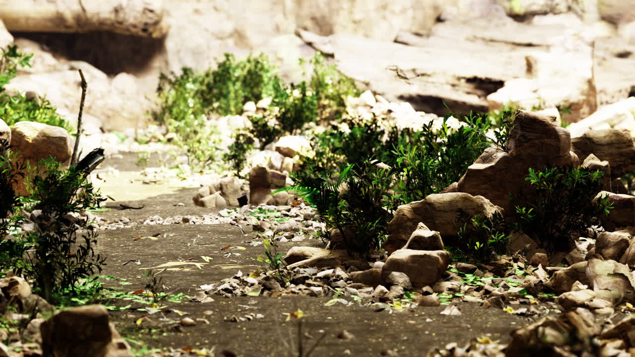 울창한 초록색과 바위 지형은 자연 속에서 조용한 길을 만니다.