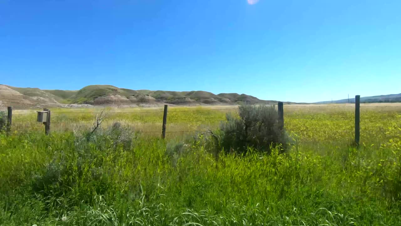캐나다 앨버타에서 화창한 날 시골에서 들판을 운전하다