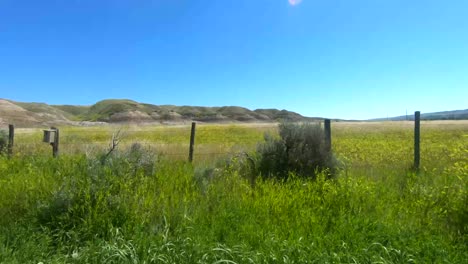 conduciendo por un campo en el campo en un día soleado en alberta, canadá