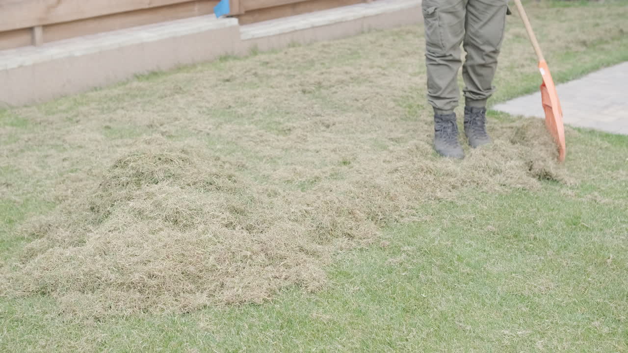Man Raking Dry Grass from Lawn in Backyard