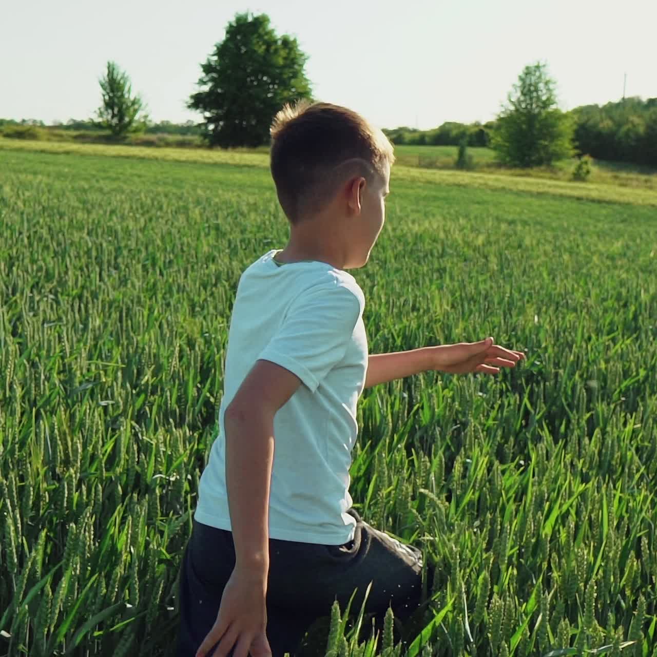 Little boy running on wheat grass crop. Slow motion
