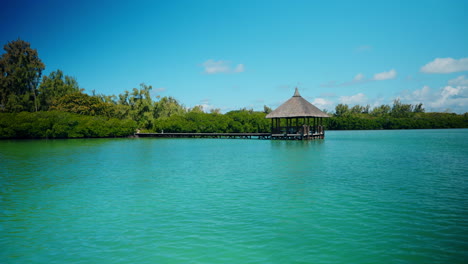 Seaside-view-of-a-wooden-pier-surrounded-by-green-lush-vegetation