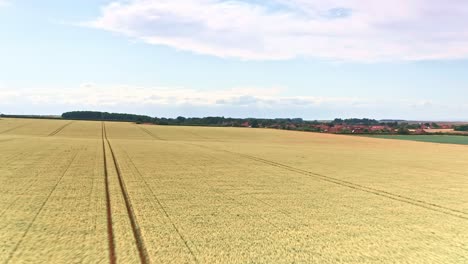 Norfolk-Farm-Fields-Luftdrohne-Im-Tiefflug-über-Weizenfelder