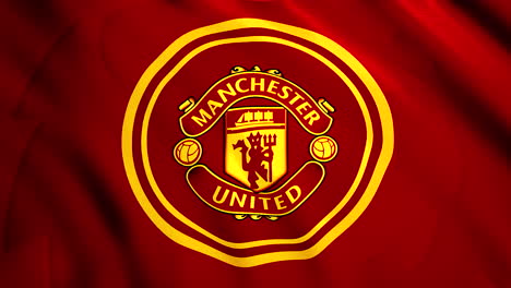 manchester united logo on fabric