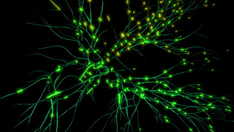 visualización de redes neuronales abstractas