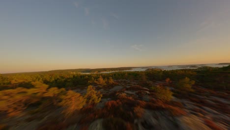 drone flight through tree branches and cruising over a coastal forest during midsummer sunset in sweden