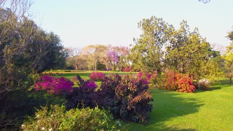 Garten-In-Voller-Blüte