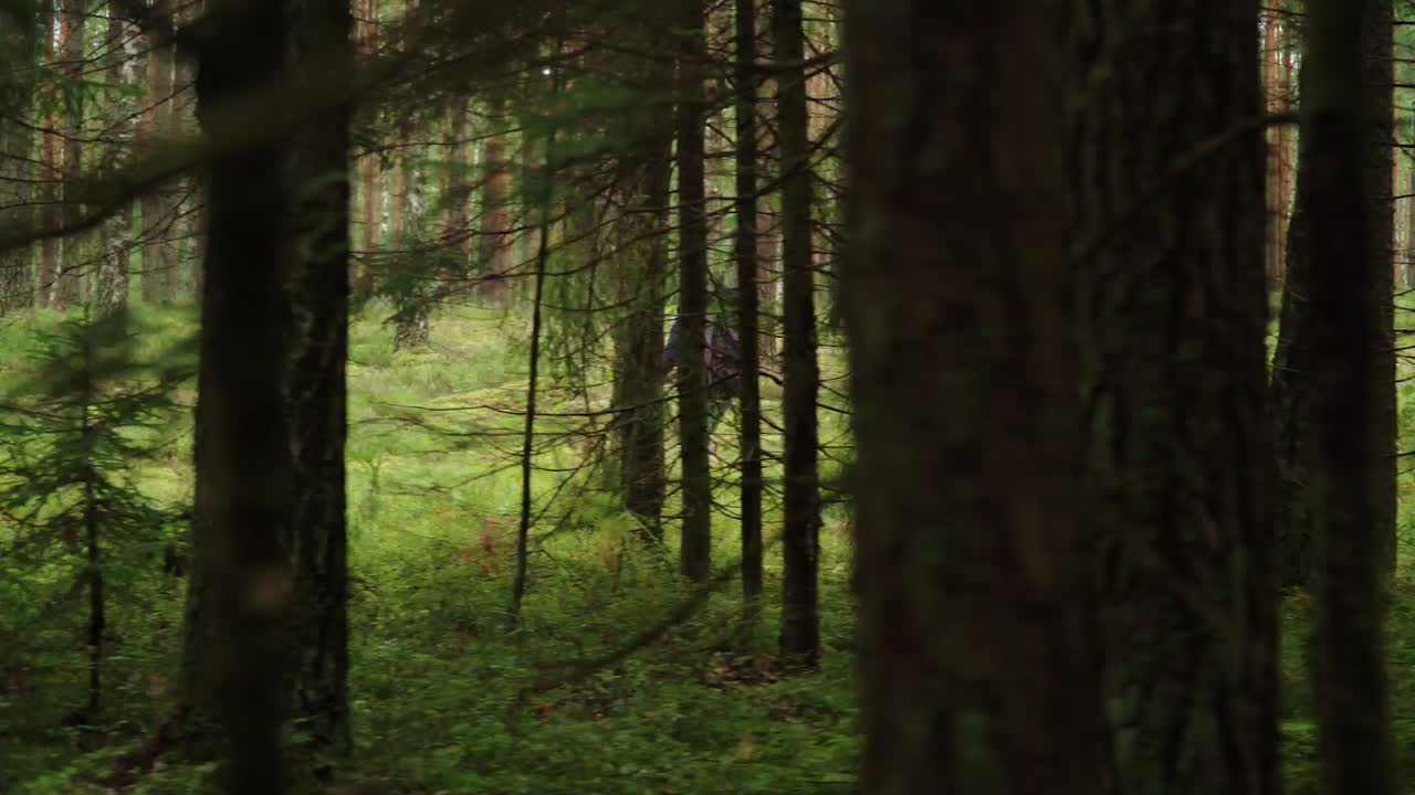 Viaggiatori escono da una fitta foresta su un sentiero. Turisti camminano nel bosco.
