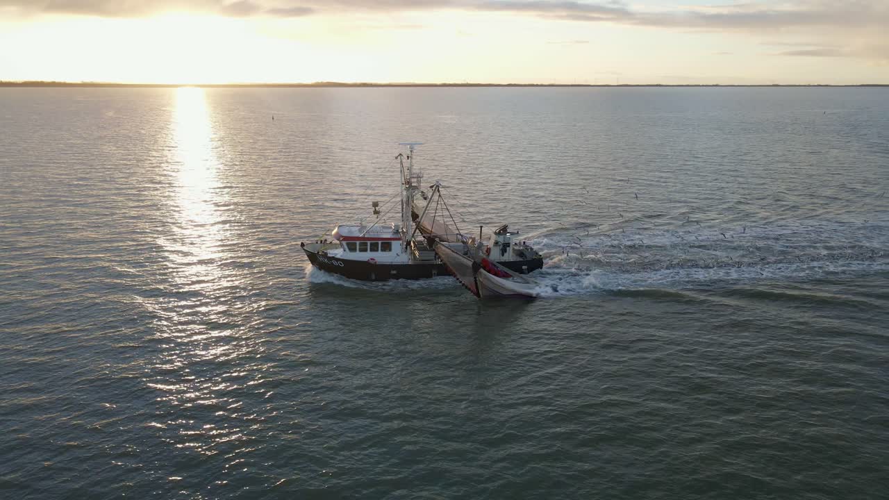 Vista aerea di un peschereccio a strascico e gabbiani all'alba sul Mare di Wadden a Harlingen Frisia Paesi Bassi.
