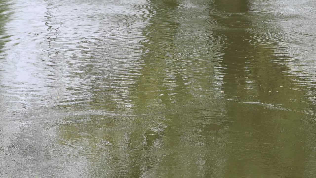 Eau de rivière s'écoulant en arrière-plan en Europe.