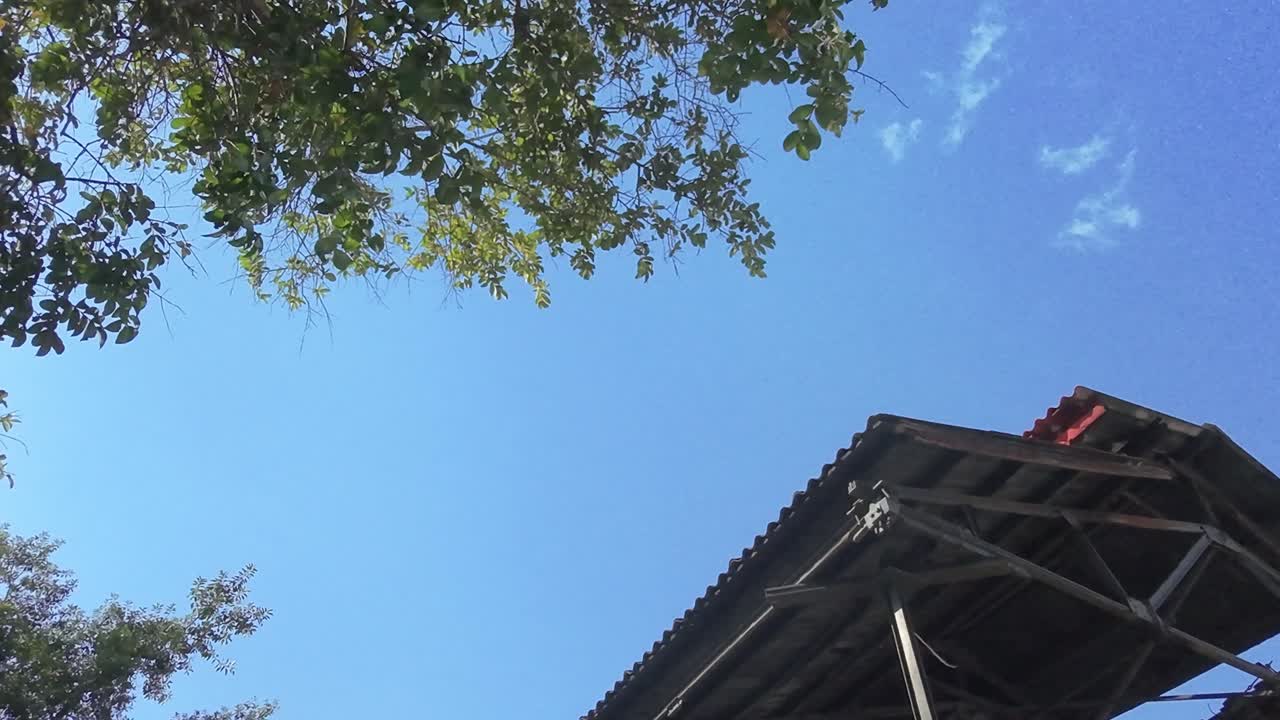 Camera moving upward and downward showcasing an antique train stationed inside a rustic warehouse