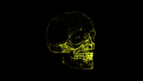 skull yellow 4k