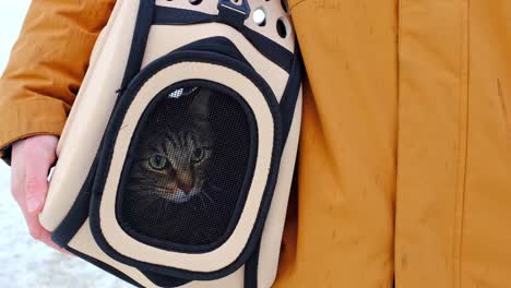 el gato está sentado en una bolsa de transporte en la calle en invierno en las manos de un hombre y mira con miedo a través de la red. moviendo una mascota, visitando a un veterinario, conveniencia y seguridad