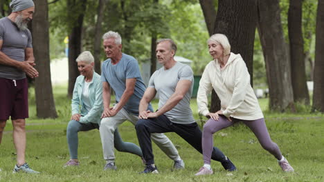 seniors exercising in a park