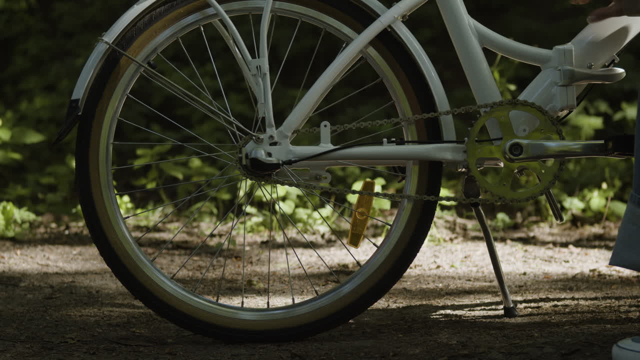 Close-up of a bicycle wheel and chain