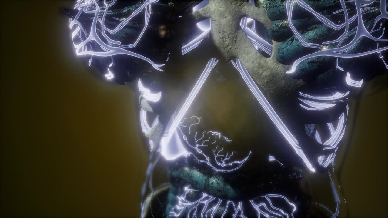 cuerpo humano con vasos sanguíneos brillantes