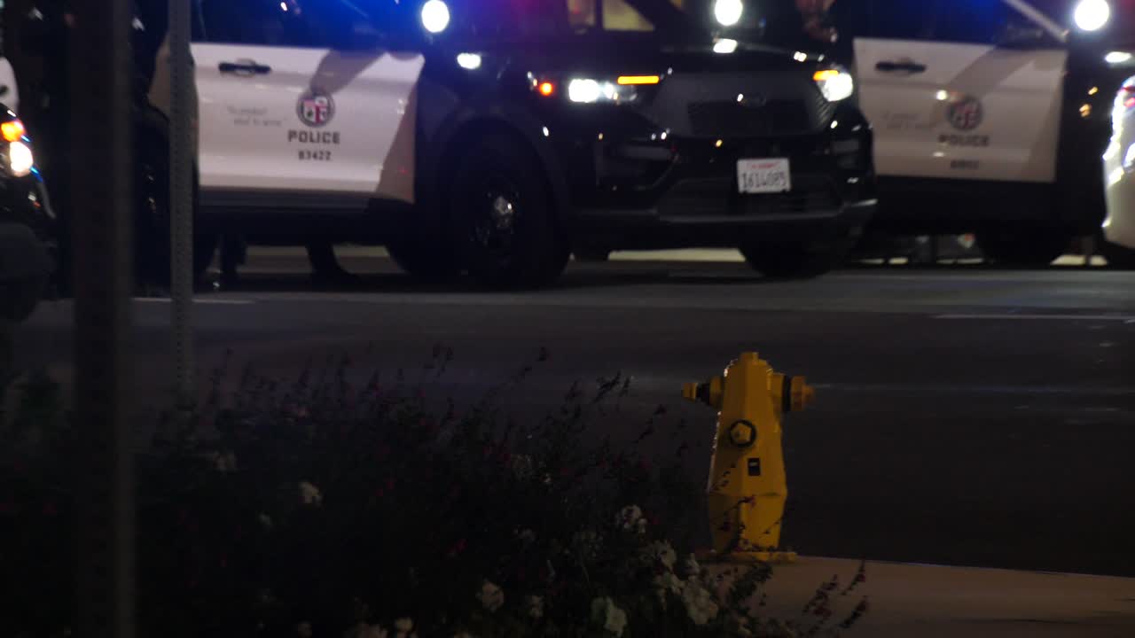 대규모 현장의 경찰