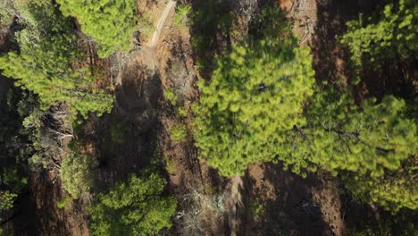 Aerial-view-of-mountain-bikers-descending-the-trail