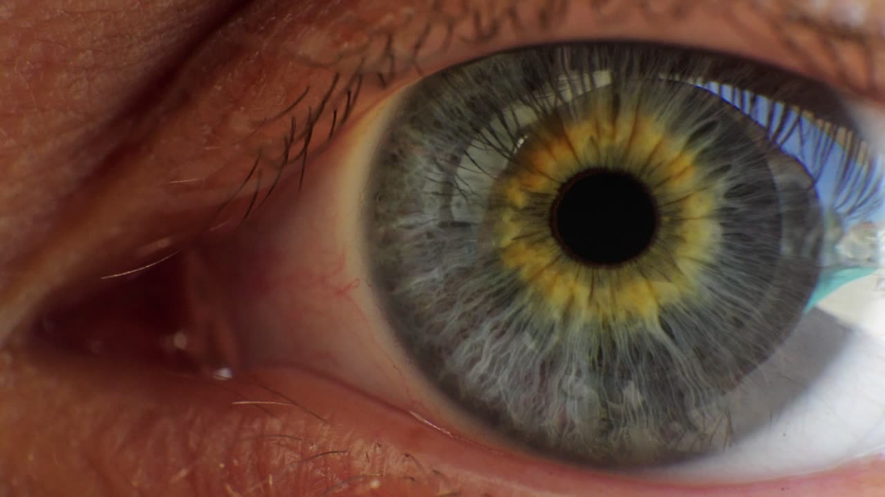 Human Eye Iris - Extreme Close Up