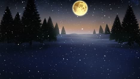 Animation-of-bubbles-floating-and-snow-falling-over-winter-landscape-against-night-sky