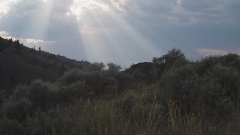 태양열과 산쑥 kamloops 브리티시 컬럼비아