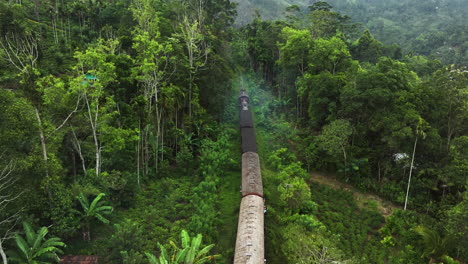 drone following a train passing through remote jungles of cloudy sri lanka