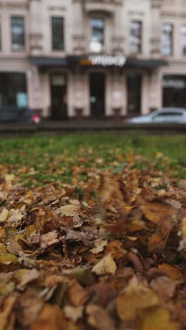 woman walking through autumn leaves