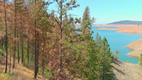 Amazing-Aerial-Over-Drought-Stricken-California-Lake-Oroville-With-Low-Water-Levels,-Receding-Shoreline-And-Burned-Trees-And-Forests