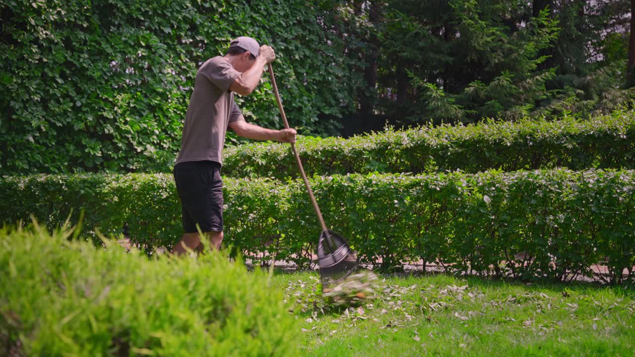 Mann raker løv i en grønn hage med hekker