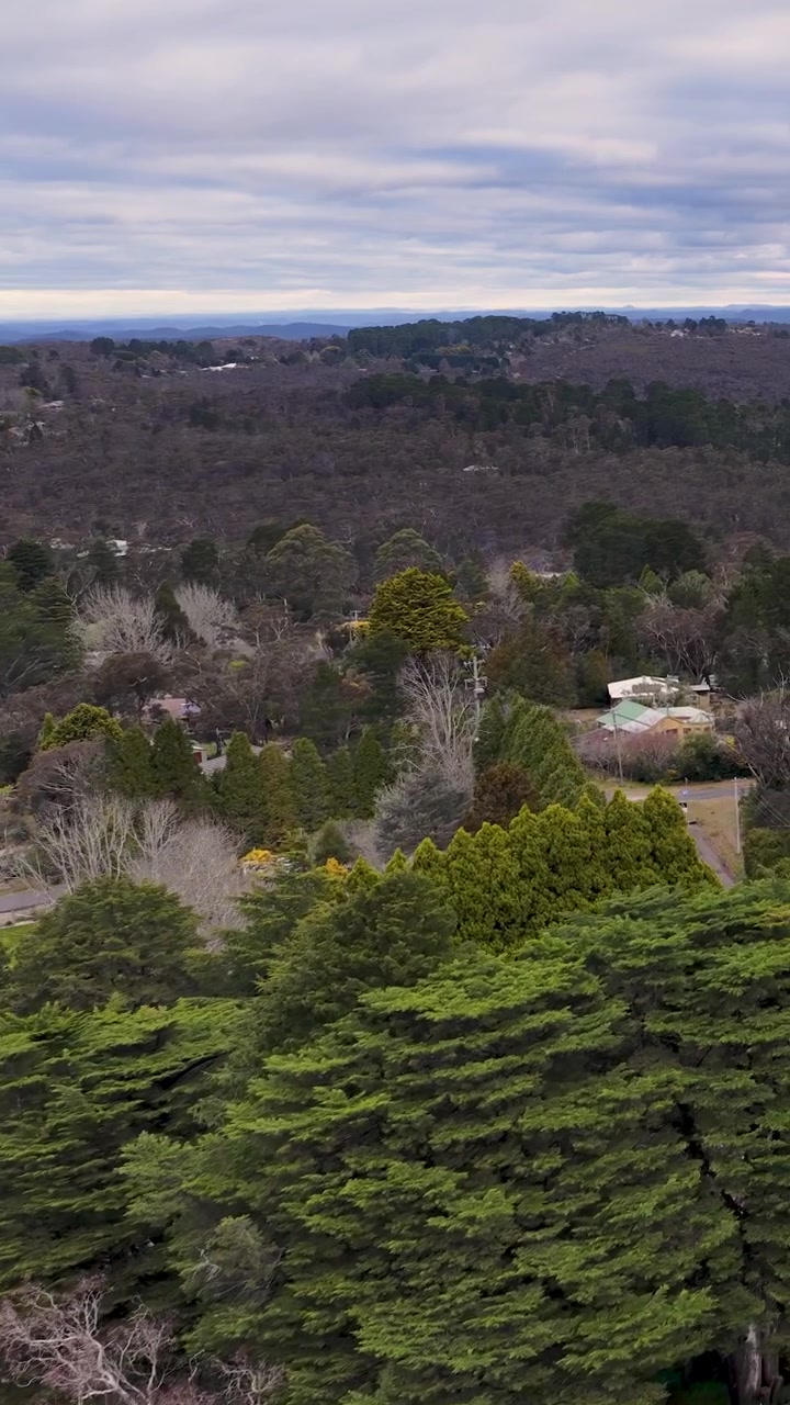 Ripresa con drone su case residenziali e una fitta foresta di eucalipti sotto cieli coperti a Wentworth Falls.