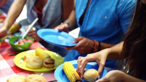 Group-of-friends-having-meal-at-outdoors-barbecue-party