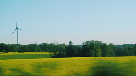 wind turbine in rape field