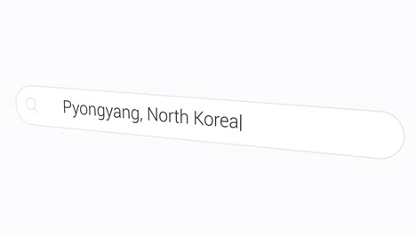 typing pyongyang, north korea in computer search bar