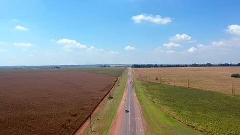 Road-Through-The-Crops