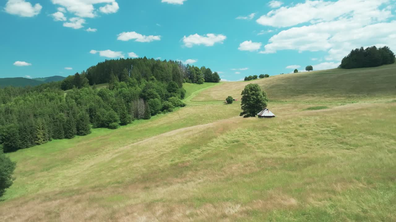 현대 트랙터 는 경치 좋은 시골 에서 높은 잔디 를  ⁇ 는다