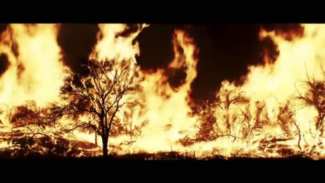 destructive inferno consumes landscape: a gripping visual of flames engulfing trees and vegetation in a wildfire, capturing the devastation and impact on nature