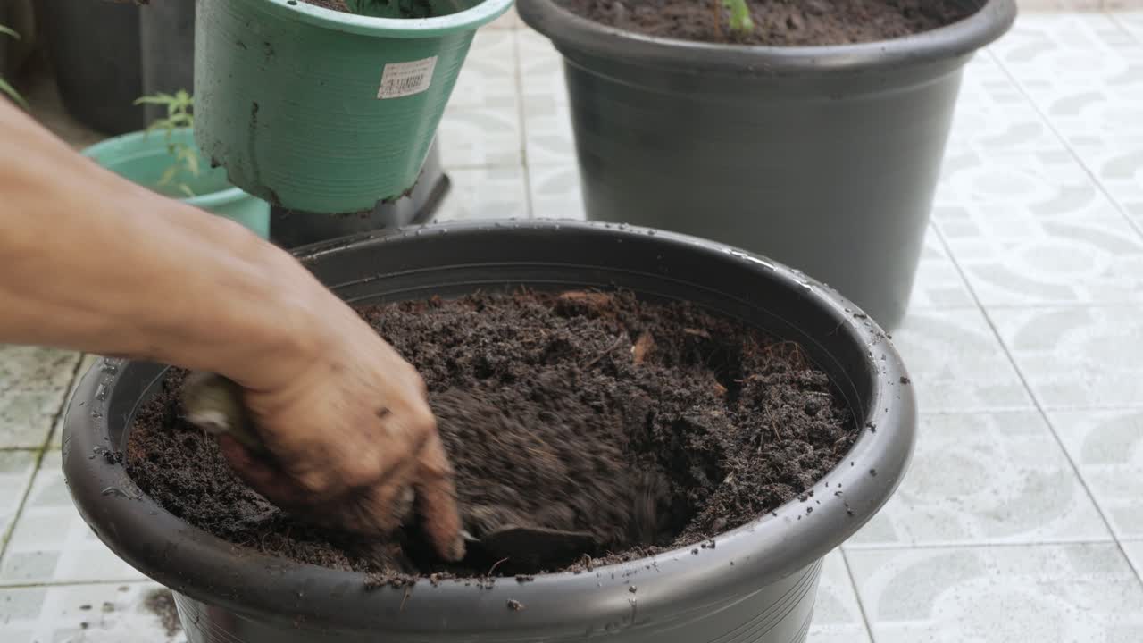 mano che prepara il terreno in una grande pentola per il giardinaggio giovane marijuana di cannabis di canapa
