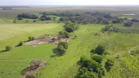 Wetlands-of-northeast-Argentina-shooted-with-drone