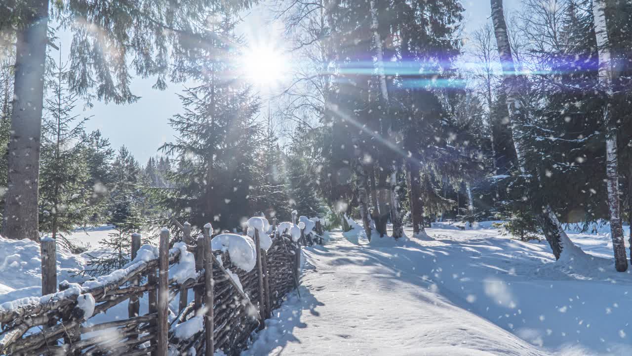 겨울의 눈이 내리는 장면, 시네마그래프, 숲 속의 아름다운 눈이 내린 장면, 비디오 루프, 크리스마스 겨울 컨셉