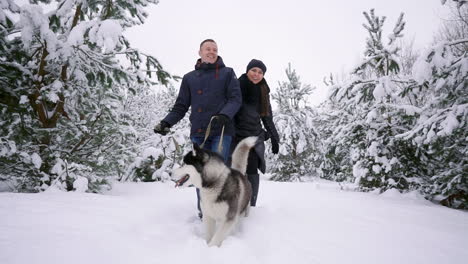 Waist-up-portrait-of-happy-modern-couple-playing-with-cute-Husky-puppy-outdoors-in-winter,-focus-on-Asian-man-smiling-at-camera