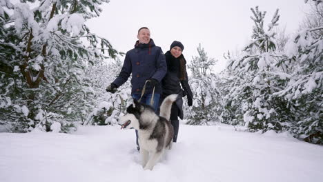 waist up portrait of happy modern couple playing with cute husky puppy outdoors in winter, focus on asian man smiling at camera