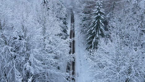 drone fly over county road with shaggy spruce woodland during snowy winter day near deby village, poland