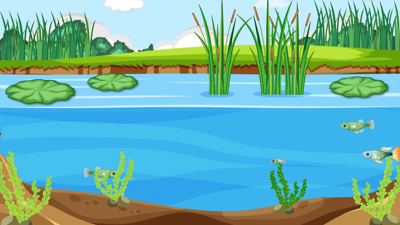 Animated pond life with fish and vegetation. | Premium Stock Video Footage