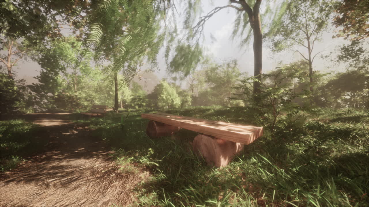 벤치가 있는 평화로운 숲길