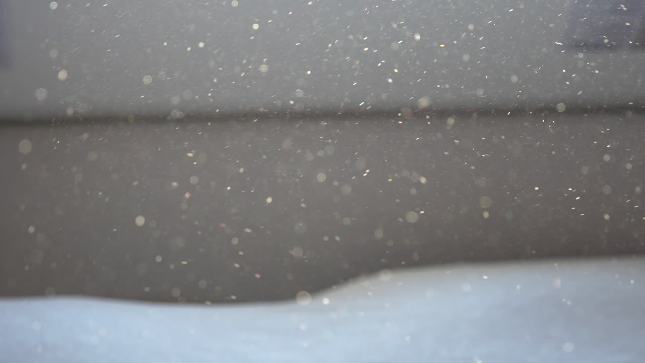 자연 먼지 입자는 얕은 피사계 심도에 떠 있습니다.